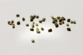 The BudTrainer Method™: How to Select Hemp Seeds
