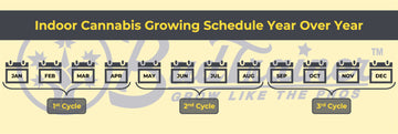 Indoor cannabis growing schedule by month – Complete 3-cycle year-round calendar for growing bigger buds indoors with BudTrainer®.