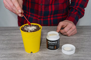 A person in a red and black plaid shirt using a red spoon to sprinkle white powder from a container labeled 'PRO-MIX' onto the soil in a yellow BudCup, placed on a grey wood-textured surface.