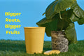 BudCups promoting strong root development with healthy plant ready for transplanting.