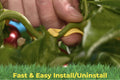 Close-up of gardener's hand installing BudClip on plant branch for quick and easy plant training.