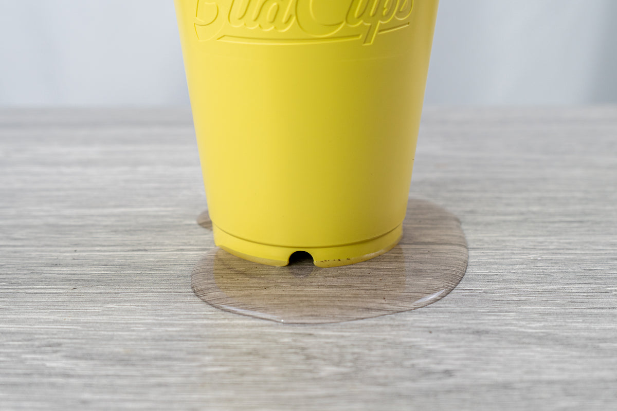 Close-up of a yellow BudCup with a clear, water-filled saucer beneath it, capturing water drainage. The pot is placed on a grey wood-textured surface.