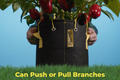 BudHuggers traininwire pushing and pulling pepper plant branches in BudPots fabric pot.