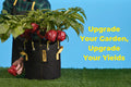 Lush pepper plant growing in a BudPot with vibrant red peppers, showcasing improved garden yields.