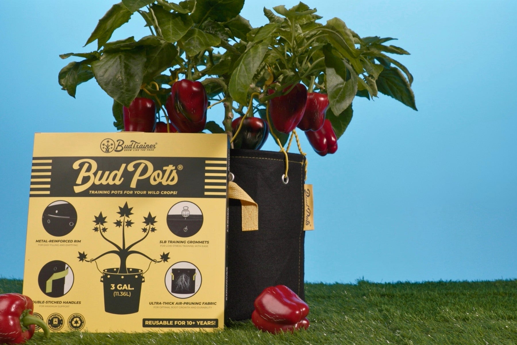 BudPots 3-gallon fabric training pot with pepper plant, packaging displaying features like air-pruning fabric, training grommets, and double-stitched handles.