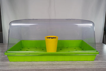 A yellow BudCup filled with soil placed inside a large, green, rectangular propagation tray with a transparent cover, set on a grey wood-textured surface against a soft white background.