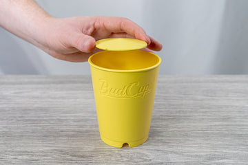 A hand placing a yellow lid on a yellow pot labeled 'BudCups'. The pot is on a grey wood-textured surface against a soft white background.