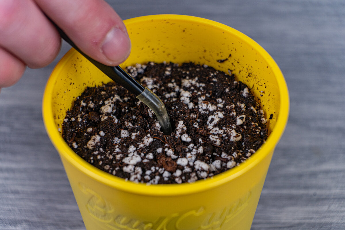 Close-up of a hand using a small black trowel to adjust the soil in a yellow BudCup filled with potting mix, against a grey wood-textured background.