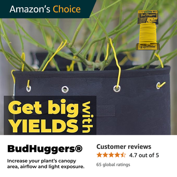 BudTrainer® BudHuggers® used for branch training in fabric pots to increase canopy size, airflow, and light exposure—Amazon’s Choice with 4.7-star reviews.