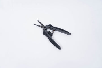Close-up of precision trimming scissors used for manicuring cannabis buds during harvest.