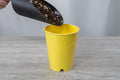 A hand using a dark grey scoop to pour soil into a yellow pot labeled 'BudCup', placed on a grey wood-textured surface.