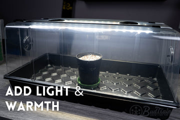 AC Infinity humidity dome with the BudCups inside, promoting light and warmth for optimal seedling growth. Text overlay reads ‘Add Light & Warmth’ with the BudTrainer logo in the corner.”