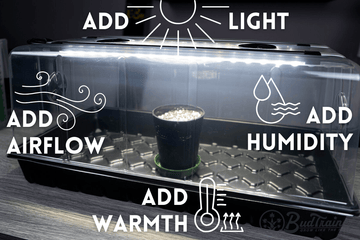 Clear propagator with text indicating features like light, airflow, humidity, and warmth.