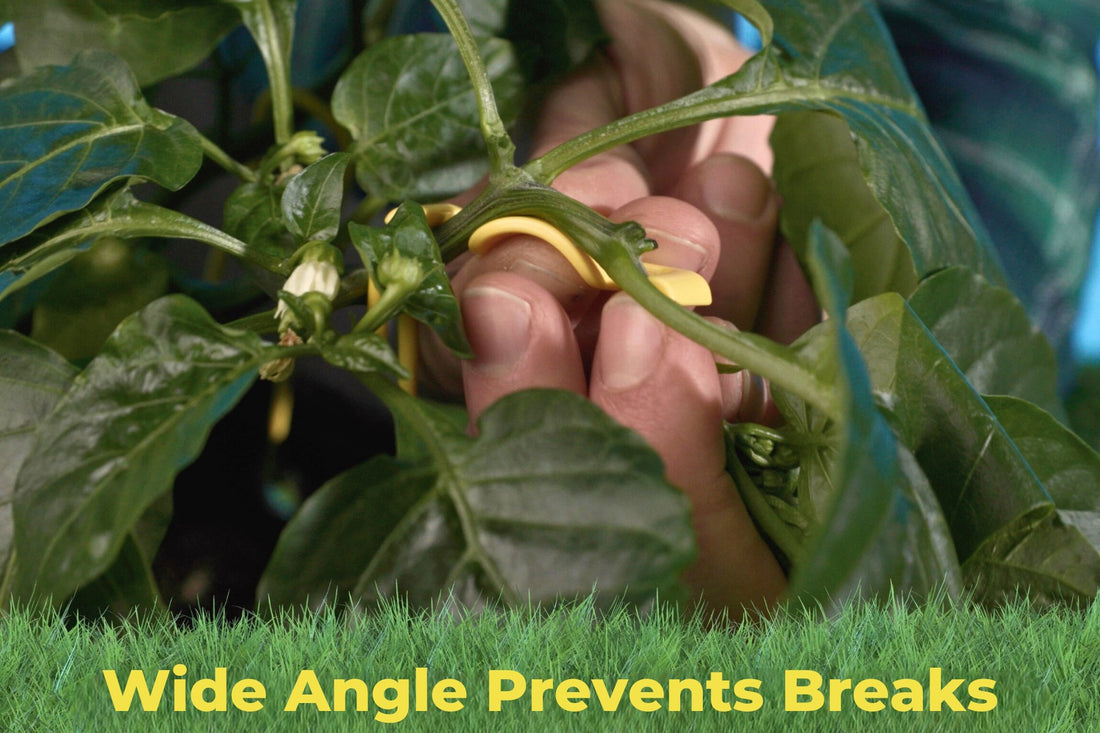 Yellow BudTrainer BudClip plant training clip for bending cannabis branches safely.