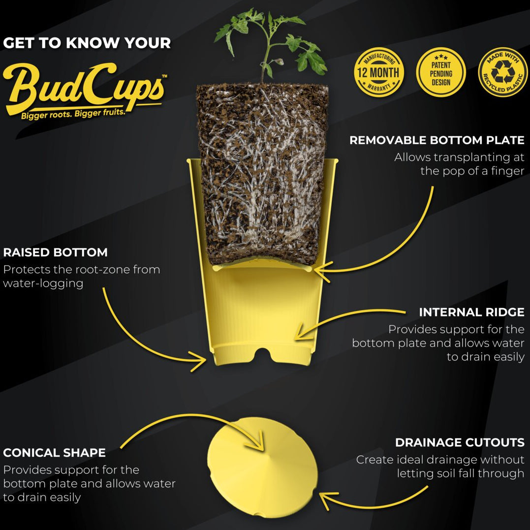 BudCups diagram showing the raised bottom, removable bottom plate, internal ridge, conical shape, and drainage cutouts
