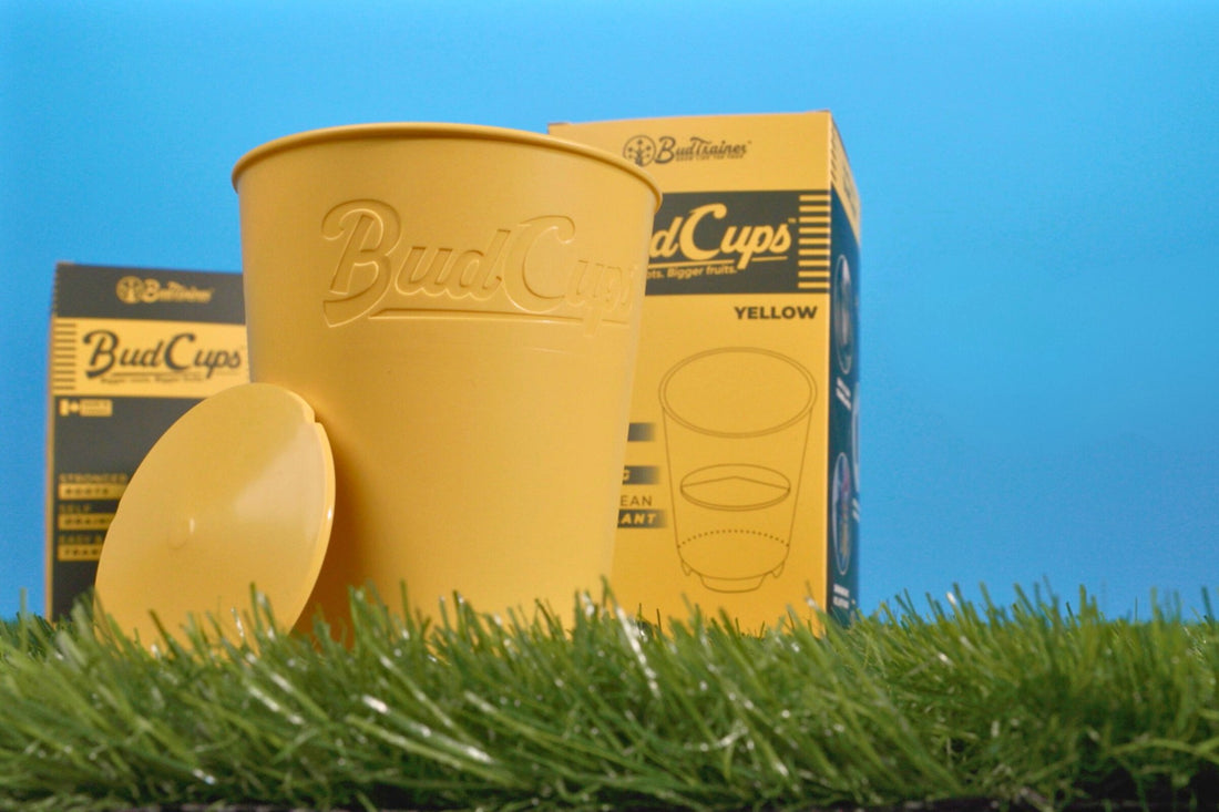 BudTrainer BudBundle including BudPot fabric pot, BudCups seedling starter, BudClips low stress training clips, and yellow training wire for cannabis growing.