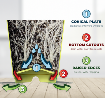 BudCups Triple Drainage diagram: 1. Conical plate drains towards the sides, 2. Bottom cutouts drain water away from roots, 3. Raised edges prevent water logging