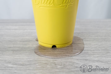 Close-up of a yellow BudCup with a clear, water-filled saucer beneath it, capturing water drainage. The pot is placed on a grey wood-textured surface.