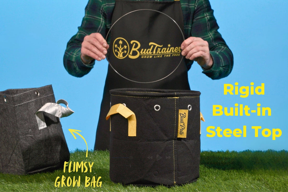 BudTrainer BudPots black fabric grow pot with yellow handles and steel-reinforced rim for home cannabis cultivation.