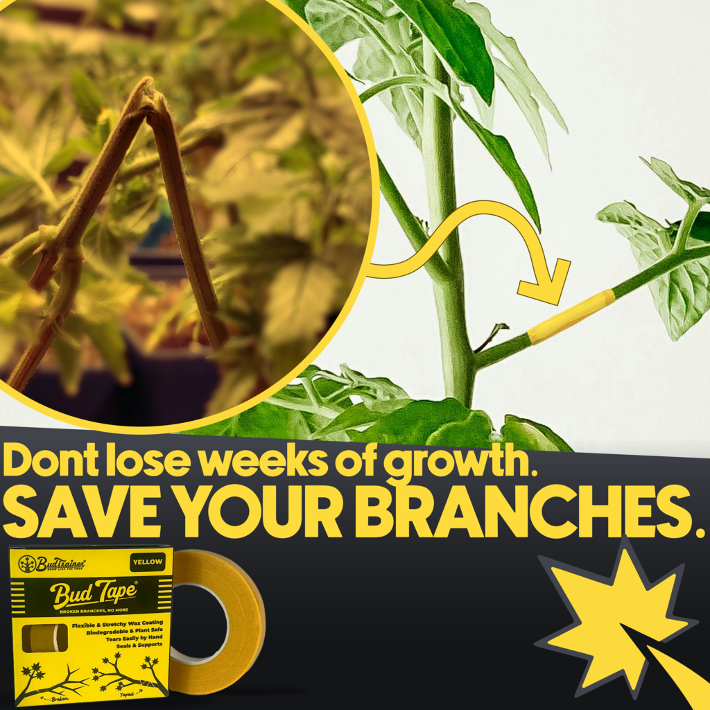 BudTape™ - Branch Repair & Plant Grafting Tape