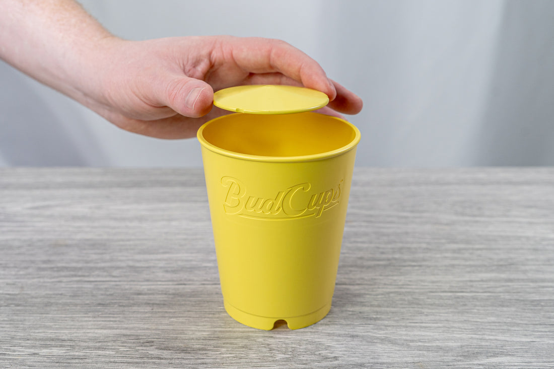 Black BudCups bottom insert with BudTrainer logo and drainage spike for healthy cannabis root growth.