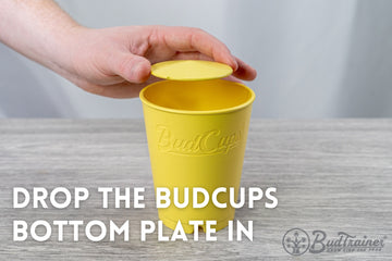 A hand placing a yellow lid on a yellow pot labeled 'BudCups'. The pot is on a grey wood-textured surface against a soft white background.