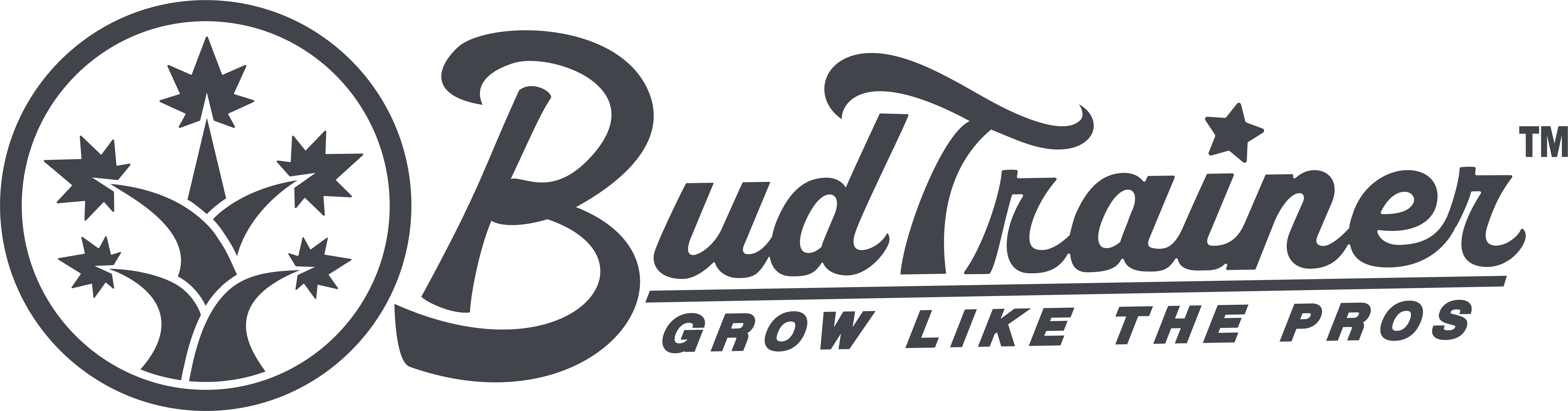 BudTrainer logo transparent background grey png