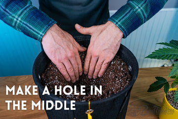 Image showing a person in a plaid shirt and blue gloves planting a cannabis plant inside a black BudPots fabric container labeled '3 GAL' on a wooden table. A smaller yellow BudCups container with another young cannabis plant is placed to the left. The BudPots container features a tag with product information.