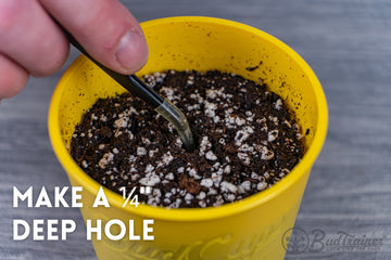 Close-up of a hand using a small black trowel to adjust the soil in a yellow BudCup filled with potting mix, against a grey wood-textured background.