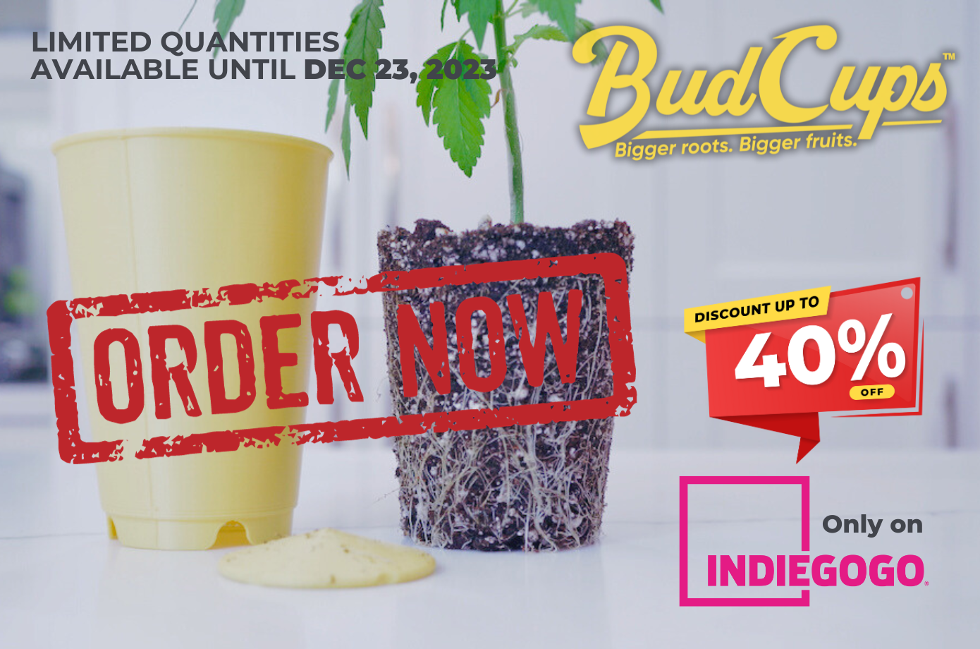BudCups from BudTrainer in a white background. Transplant cups for plants
