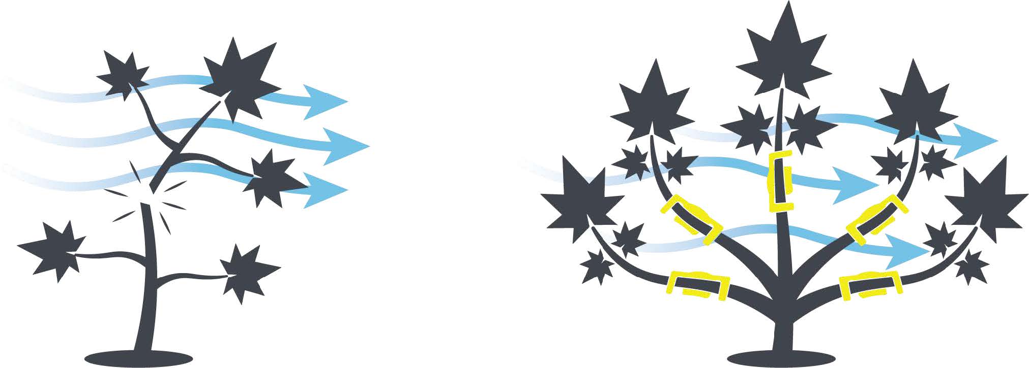 A comparison diagram showing two cannabis plants. The plant on the left, with minimal foliage, has blue arrows indicating airflow but lacks structure and support. The plant on the right, with more foliage and yellow clips, shows improved airflow with blue arrows and better branch support and spacing.