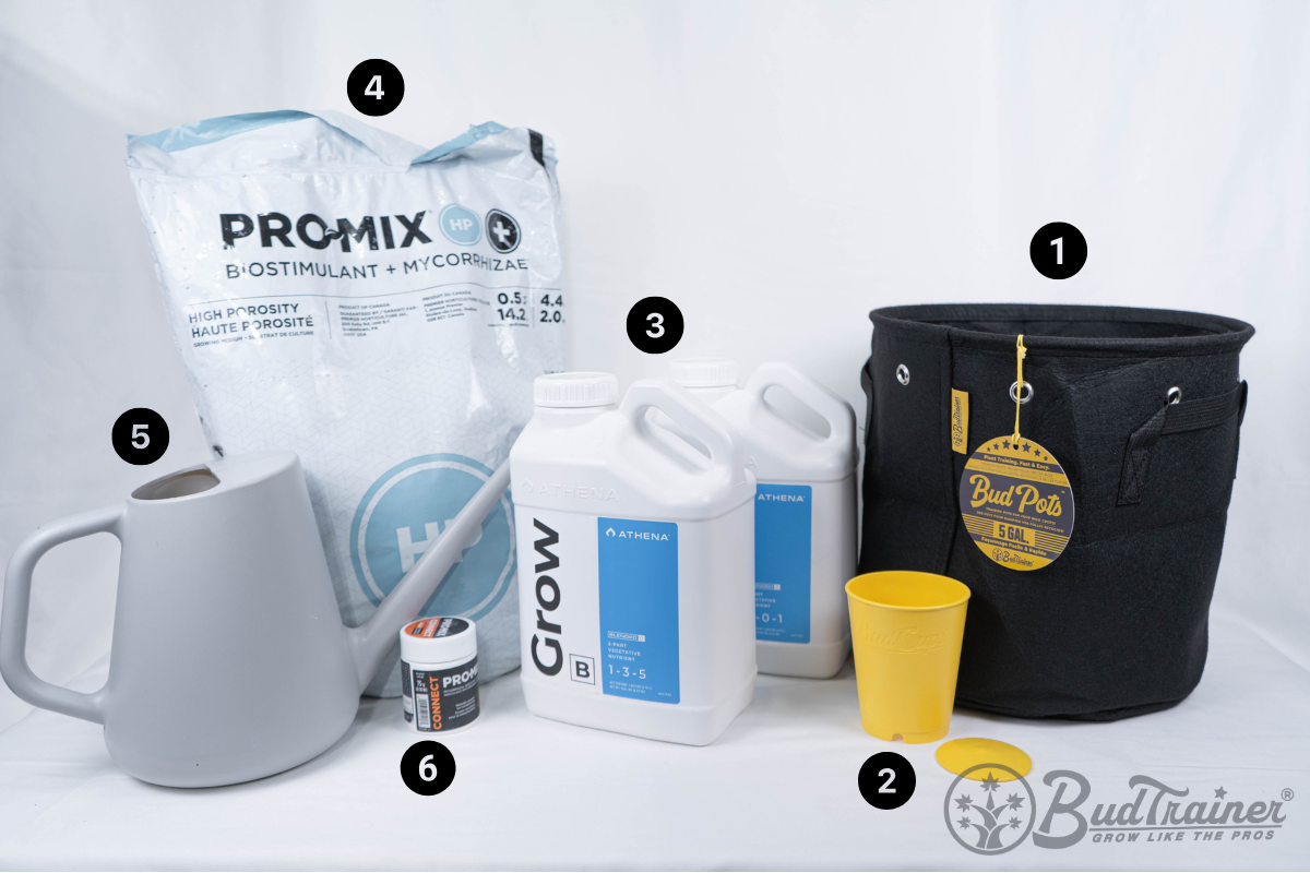 Essential tools and supplies for planting cannabis seeds including fabric pots, BudCups, ProMix soil, nutrients, watering can, and rooting gel.